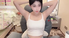 beibei-ll