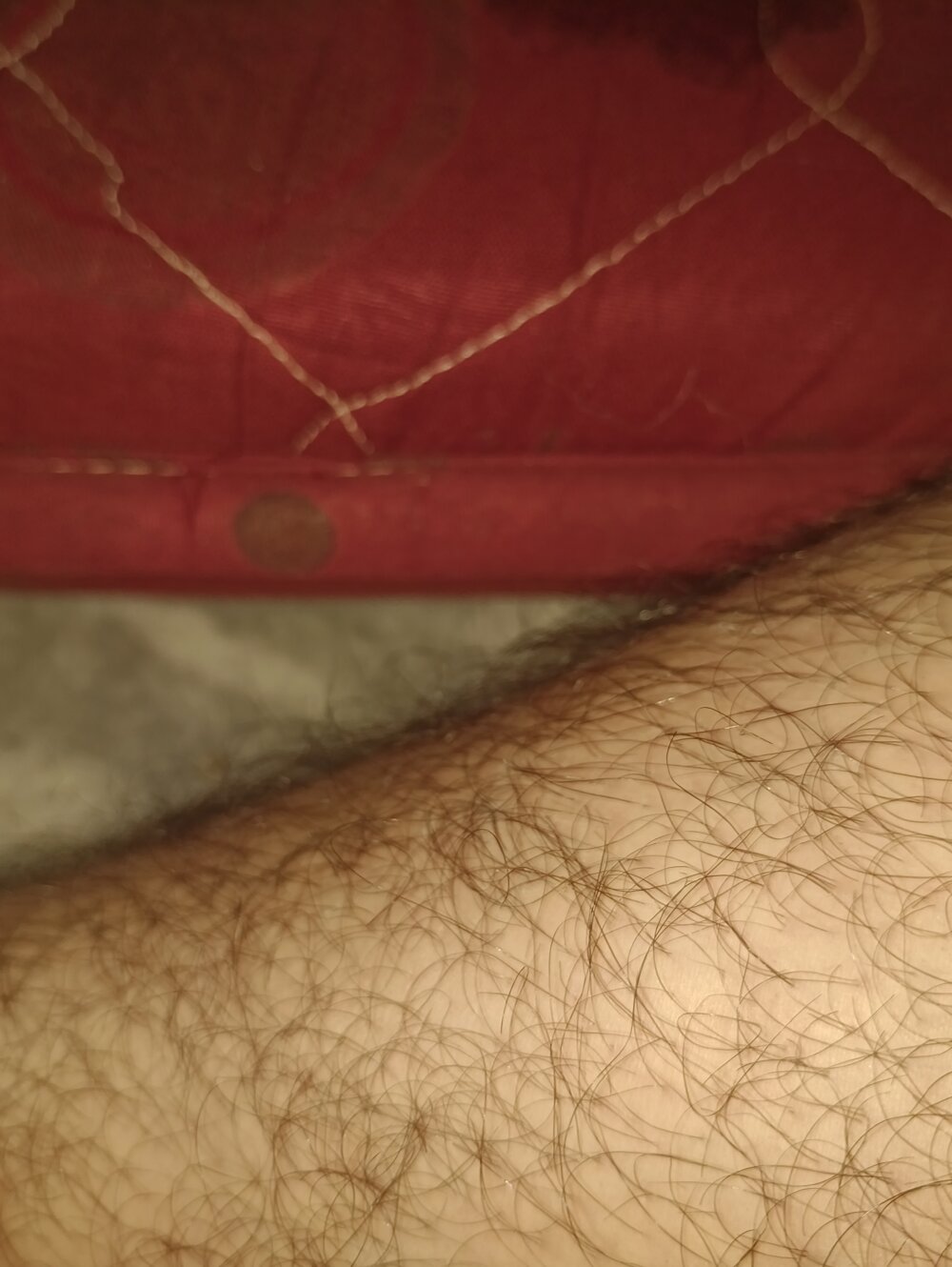 Hairyboyysexy
