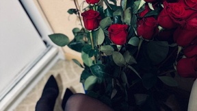jasmin-starr