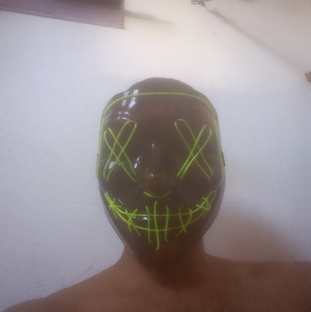 Pau_Peludo_Barreiras-BA