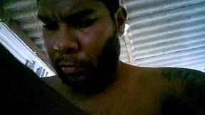 pica1000fla