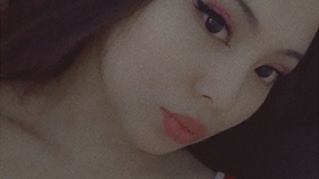 roya2211