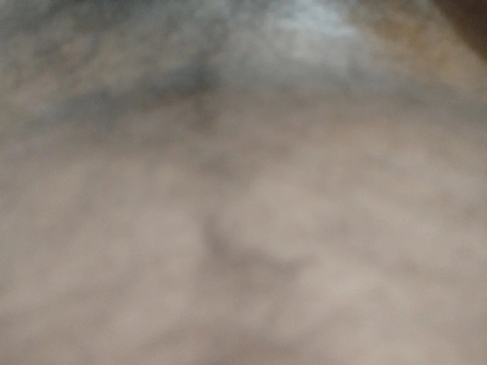 SL_daddy