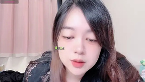 tw-daisyboo
