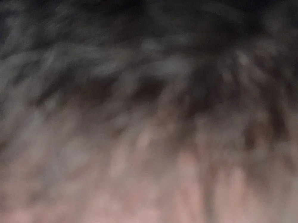 bjim03425