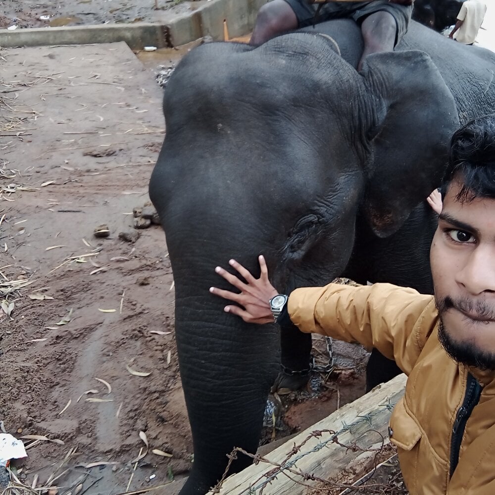 nandavivek