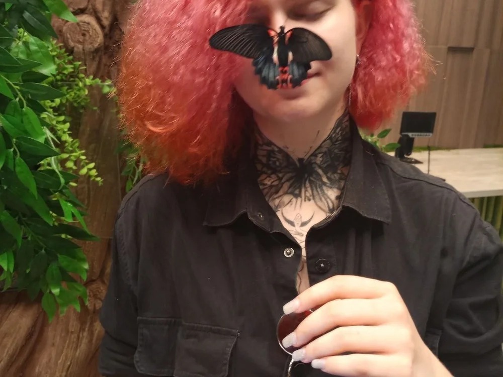 shellinught