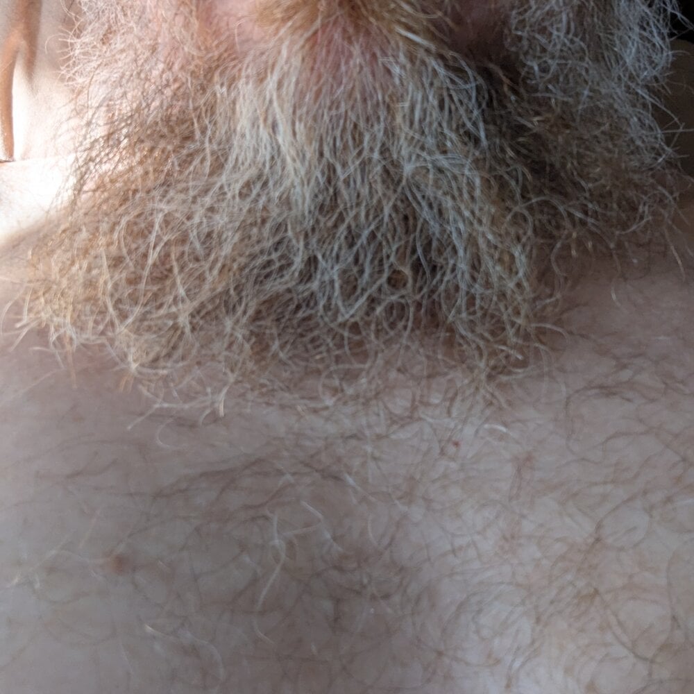 sizableunicorn7